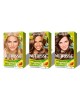 Garnier Nutrisse